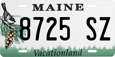 ME license plate 8725SZ