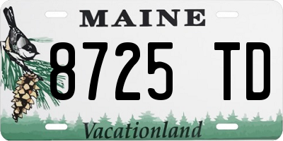 ME license plate 8725TD