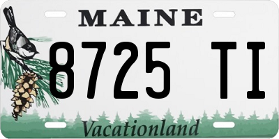 ME license plate 8725TI