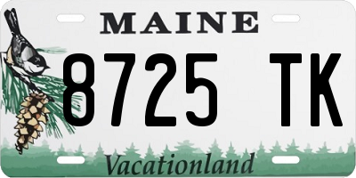 ME license plate 8725TK
