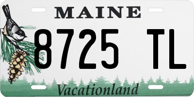 ME license plate 8725TL