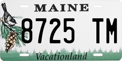 ME license plate 8725TM