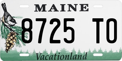 ME license plate 8725TO
