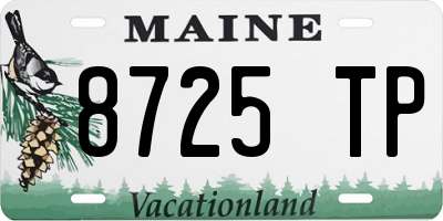 ME license plate 8725TP