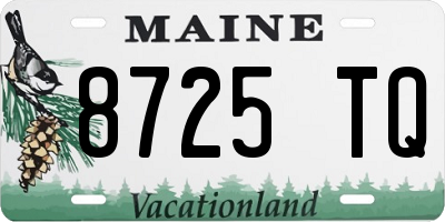 ME license plate 8725TQ