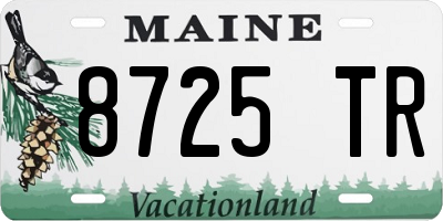 ME license plate 8725TR