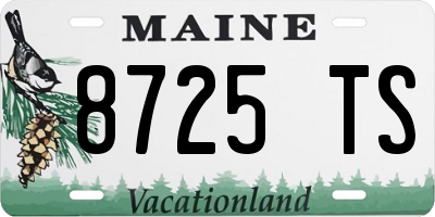 ME license plate 8725TS