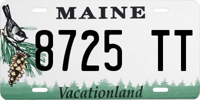 ME license plate 8725TT