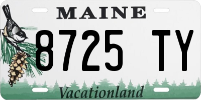 ME license plate 8725TY