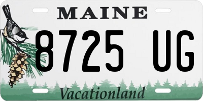 ME license plate 8725UG