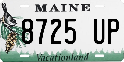 ME license plate 8725UP