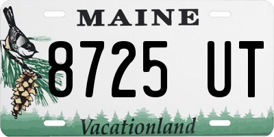 ME license plate 8725UT