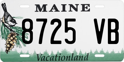 ME license plate 8725VB