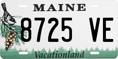 ME license plate 8725VE