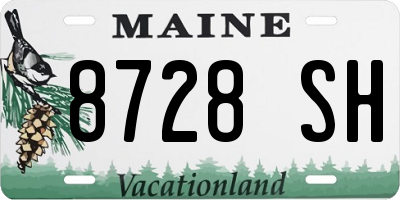 ME license plate 8728SH