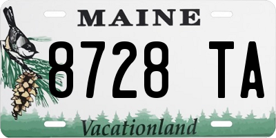 ME license plate 8728TA
