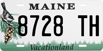 ME license plate 8728TH