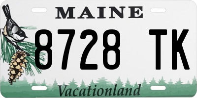 ME license plate 8728TK