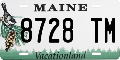 ME license plate 8728TM
