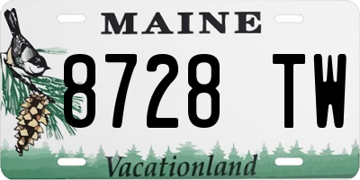 ME license plate 8728TW