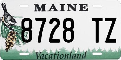 ME license plate 8728TZ