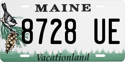 ME license plate 8728UE