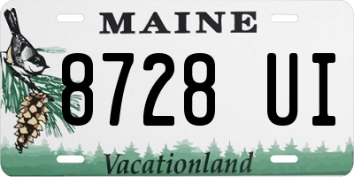 ME license plate 8728UI