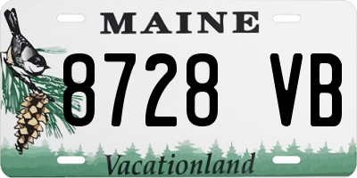 ME license plate 8728VB