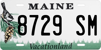 ME license plate 8729SM