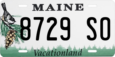ME license plate 8729SO