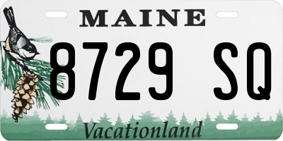 ME license plate 8729SQ