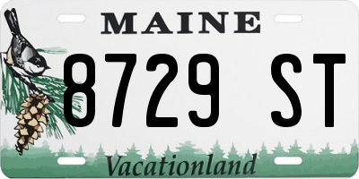 ME license plate 8729ST