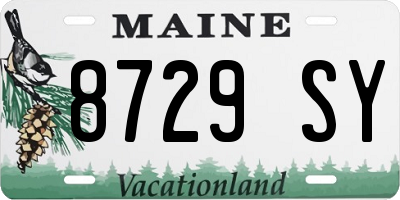 ME license plate 8729SY