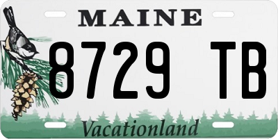 ME license plate 8729TB