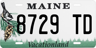 ME license plate 8729TD