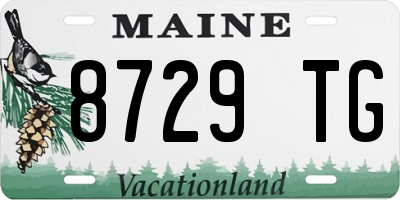 ME license plate 8729TG