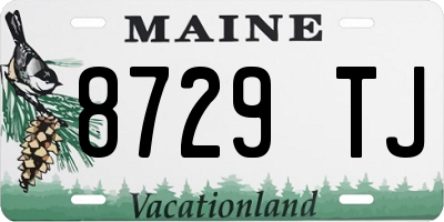 ME license plate 8729TJ