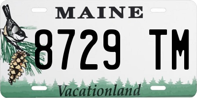 ME license plate 8729TM