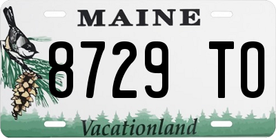 ME license plate 8729TO