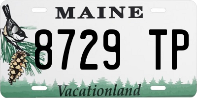 ME license plate 8729TP