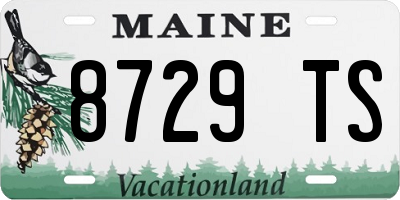 ME license plate 8729TS