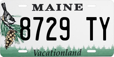 ME license plate 8729TY