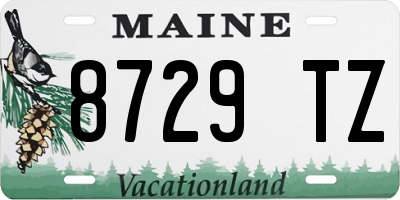 ME license plate 8729TZ