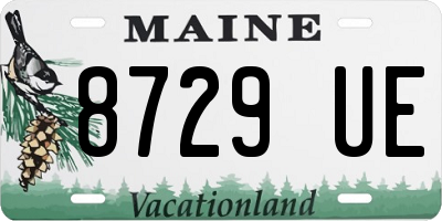 ME license plate 8729UE