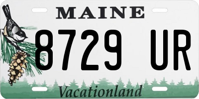 ME license plate 8729UR