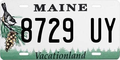 ME license plate 8729UY