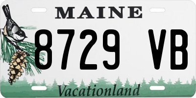 ME license plate 8729VB