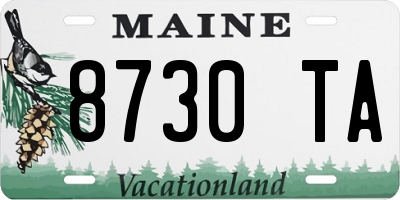 ME license plate 8730TA