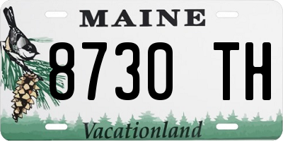 ME license plate 8730TH