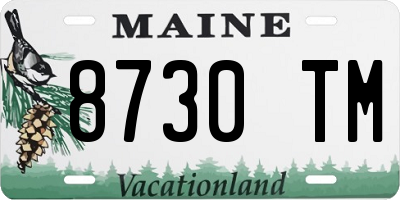 ME license plate 8730TM